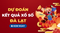 Soi cầu XSDL ngày 20 tháng 4 năm 2025 - Phân tích XSDL 20/4/2025