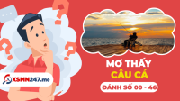 Nằm mơ thấy câu cá đánh con gì? - Mơ câu cá số mấy?