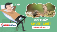 Mơ thấy chuột chết đánh con gì? - Mơ chuột chết có ý nghĩa gì?