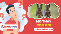 Nằm mơ thấy con dơi số mấy? - Mơ thấy con dơi có ý nghĩa gì?