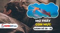 Nằm mơ thấy con mực đánh con gì? - Mơ con mực là số mấy?