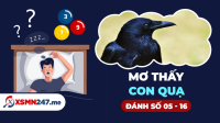 Mơ thấy con quạ đánh số gì? - Mơ thấy con quạ đánh số mấy?