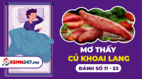 Mơ thấy củ khoai lang đánh con gì? Ý nghĩa giấc mơ củ khoai lang