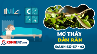 Nằm mơ thấy đàn rắn đánh con gì? - Mơ thấy đàn rắn là điềm gì?