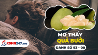 Nằm mơ thấy quả bưởi đánh con gì? - Mơ quả bưởi là điềm báo gì?