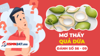 Nằm mơ thấy quả dừa đánh con gì? - Mơ thấy trái dừa điềm báo gì?