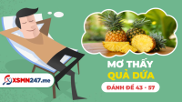 Nằm mơ thấy quả dứa đánh con gì? - Mơ thấy quả dứa là điềm gì?