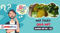 Nằm mơ thấy quả mít đánh con gì? - Mơ thấy quả mít là số mấy?