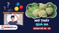 Nằm mơ thấy quả na đánh con gì? - Mơ quả na đánh số gì?