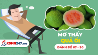 Nằm mơ thấy quả ổi đánh con gì? - Mơ quả ổi đánh đề con gì?